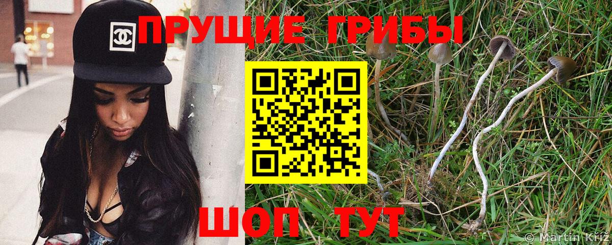 Ялта  Псилоцибиновые грибы мухоморы  Вход с VPN  хочу наркоту  Галлюциногенные грибы GOLDEN TEACHER 